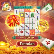5558bet